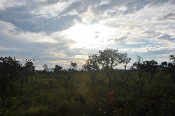 Fim de tarde no cerrado próximo à Mateiros, região do Jalapão - TO